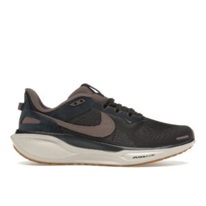 Nike Air Zoom Pegasus 41 SP BL